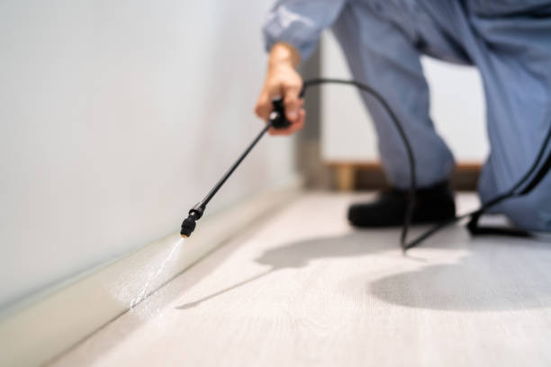 Licensed Mosquito Control service in Starkville, MS - Show Me Pest Control