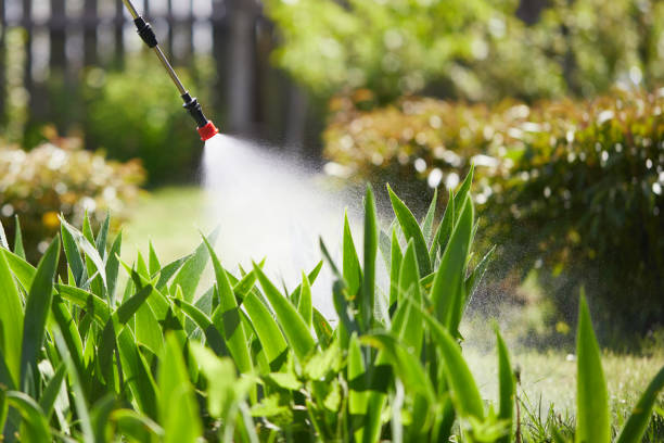 24/7 Emergency Mosquito Control experts in Starkville, MS