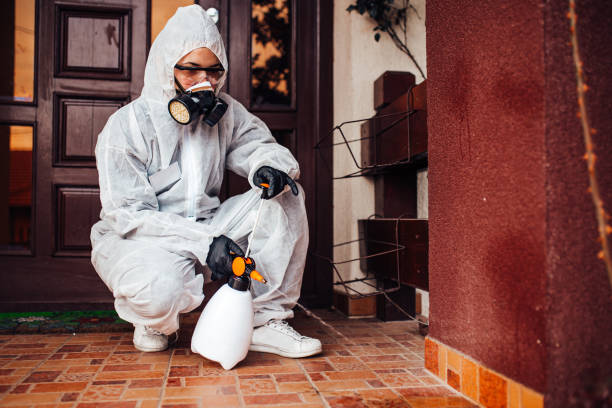 Reliable Mosquito Control contractor in Starkville, MS by Show Me Pest Control