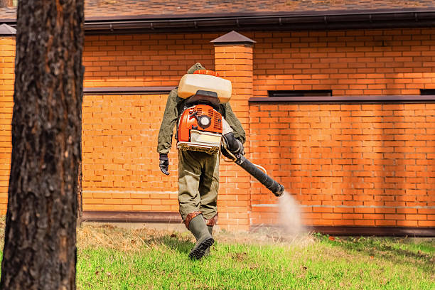 Top rated local Mosquito Control specialists in Starkville, MS